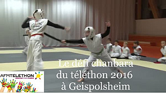 Pour le téléthon 2016 à Geispolsheim, la section Chanbara a relevé un défi
